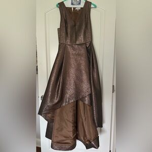 Calvin Klein Shimmering Bronze Dress
